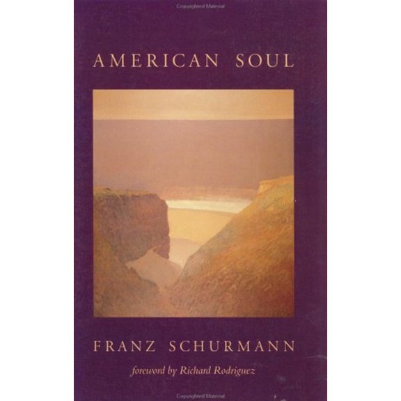 Pre-Owned American Soul (Paperback) 1562790684 9781562790684