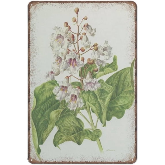 American Southern Catalpa Tree Tin Signs from 1972 Vintage Botanical Cigartree Wall Art White Flower Funny Metal Sign Pub Bar Kitchen Garden Bathroom Home Decor, 12X8inch