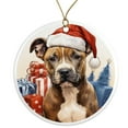 thumbnail image 1 of American Staffordshire Terrier Dog Ornament - Pet Ornament for Christmas Tree - 3" Round Ceramic - Printed in USA - Puppy New Dog - Dog Mom - Dog Dad - Pet Owner - Xmas Decoration DOG008, 1 of 5