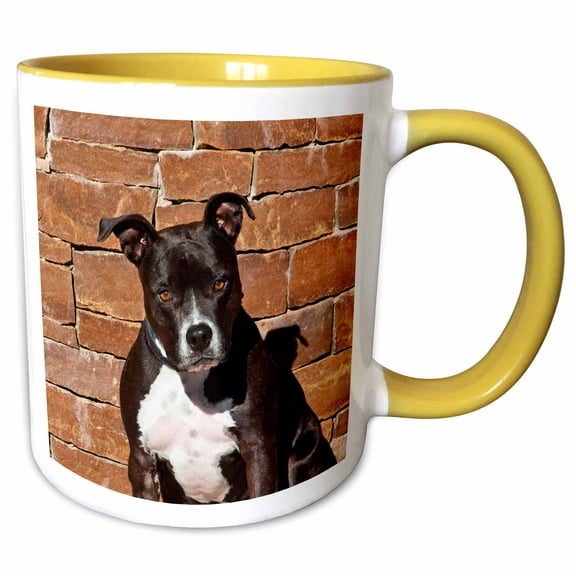 3drose, American Staffordshire Terrier Dog - Us03 Zmu0024 - Zandria Muench Beraldo, 11oz Two-tone Yellow Mug