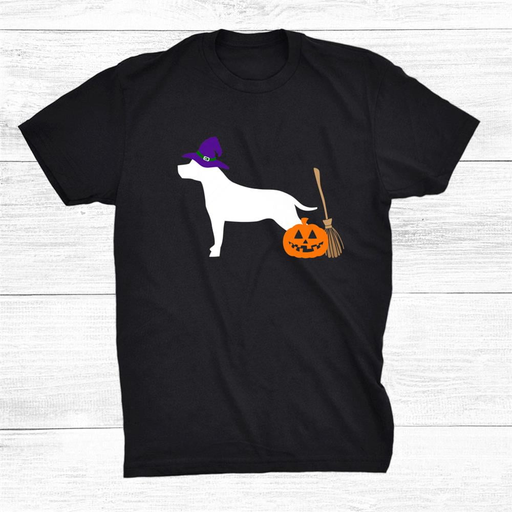American Staffordshire Terrier Halloween Dog Pit Bull Witch Shirt Gift