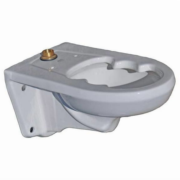 American Standard Bedpan Holding Toilet Bowl, Wht, China 2296019EC.020