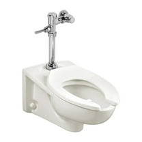 Afwall Millennium Wall-Hung EverClean Toilet System With Manual Piston Flush Valve, 1.6 gpf/6.0 Lpf