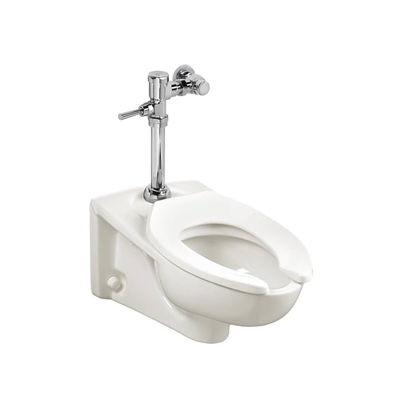 Afwall Millennium Wall-Hung Toilet System With Manual Piston Flush Valve, 1.6 gpf/6.0 Lpf