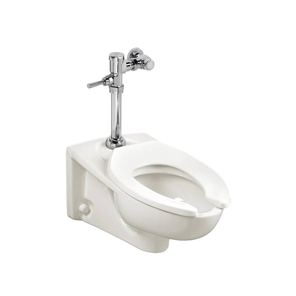 Afwall Millennium Wall-Hung Toilet System With Manual Piston Flush Valve, 1.6 gpf/6.0 Lpf