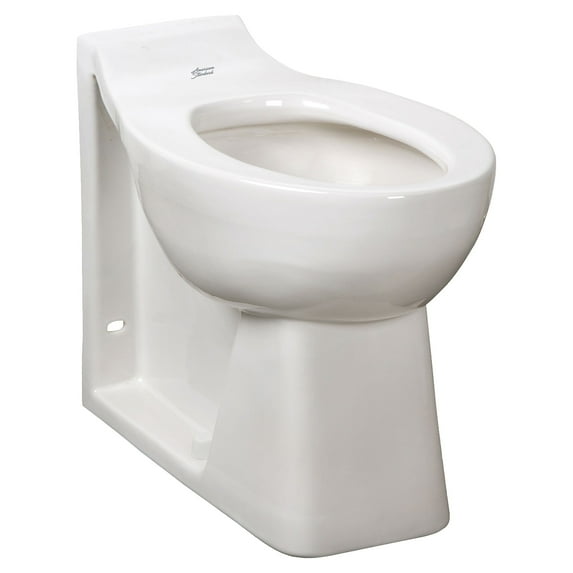 Toilet Bowl, 1.6 gpf, Flush Valve, Floor Mount, Elongated, White
