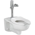 thumbnail image 1 of American Standard 3351576.020 Afwall Universal Floor Mount Toilet Bowl with Everclean and Dual Flush Selectronic Flush, 1 of 2