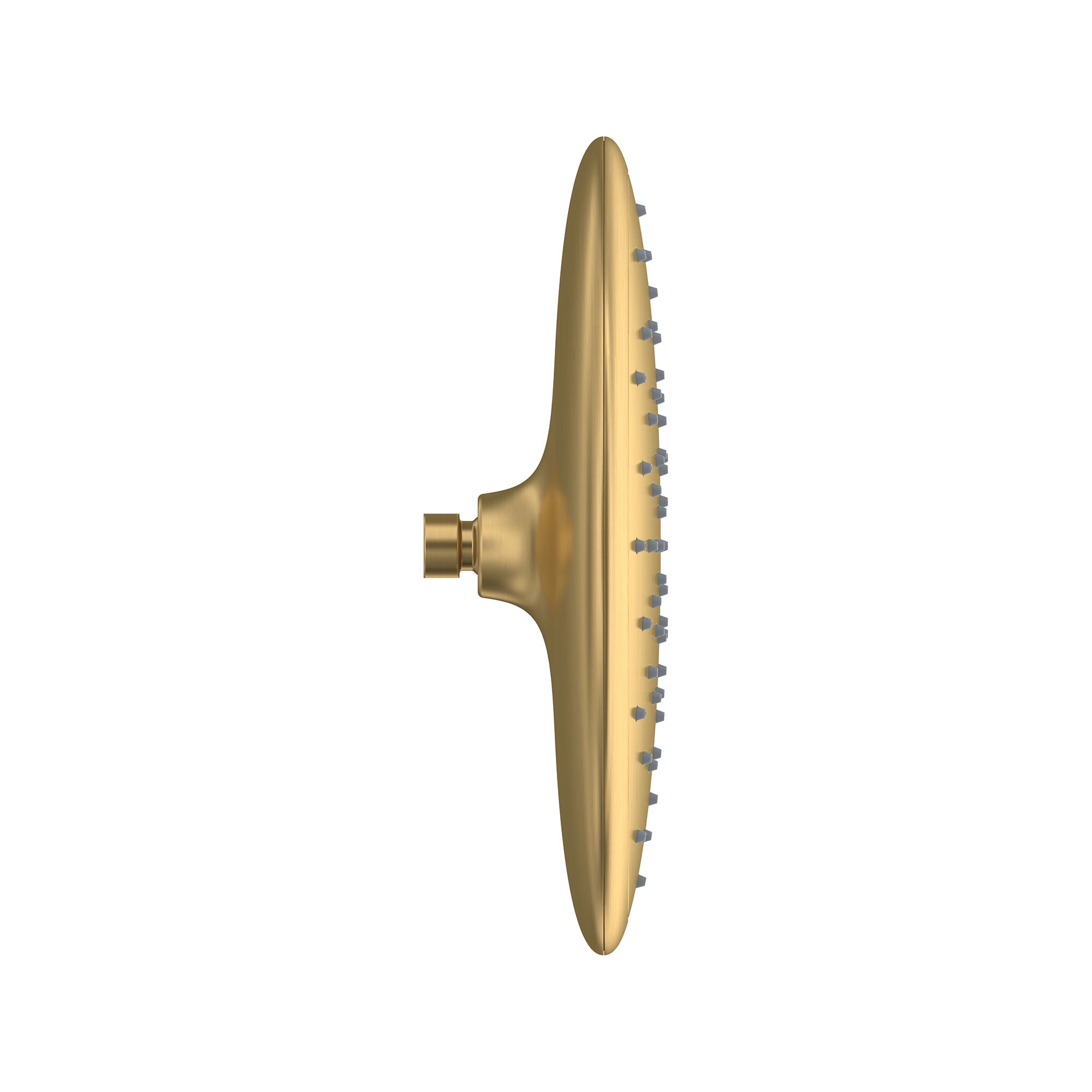 Brushed Cool Sunrise 11-Inch Rain Shower Head