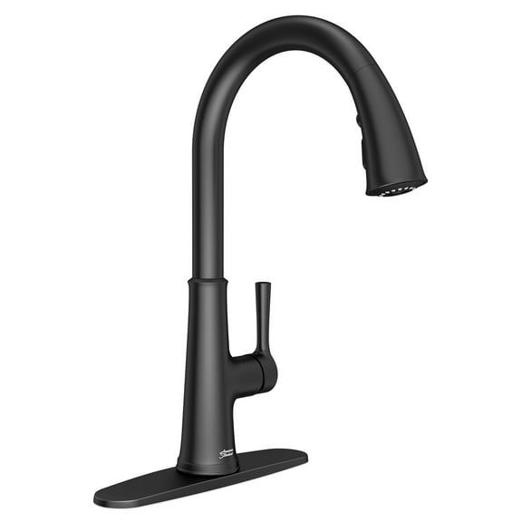 American Standard Renate™ Single Handle Pull-Down Single Spray Kitchen Faucet 1.5 gpm/5.7 Lpm