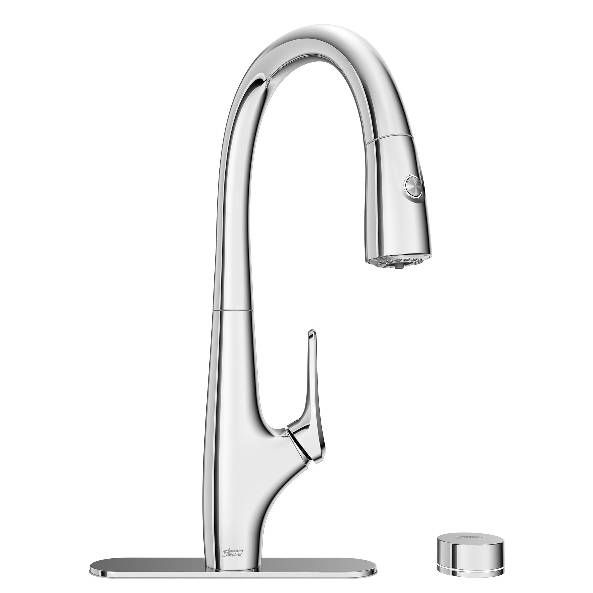 Saybrook Chrome Pull-Down Kitchen Faucet with Filter