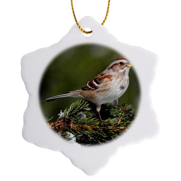 3drose, American Tree Sparrow Spizella Arborea Bird Photo Animal Photography, 3 inch Snowflake Porcelain Ornament