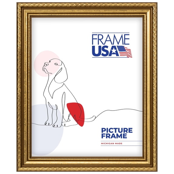 16x22 Picture Frame, Gold American Value 12424–1081–138, 1 Inch Wood with Plexiglass, Wall Display