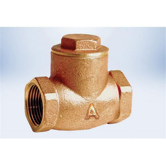 American Valve G31 2 1-2 2.5 in. Lead Free Check Valve - International Polymer Solutions