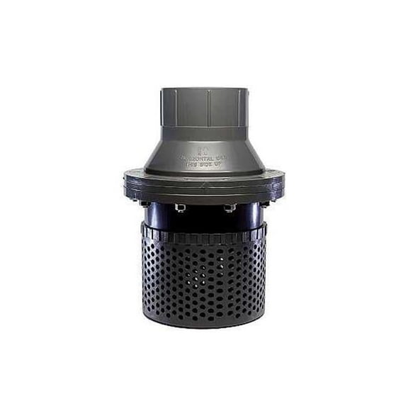 American Valve P430S 3 3 in. PVC Swing Foot Check Valve - Socket Schedule 80
