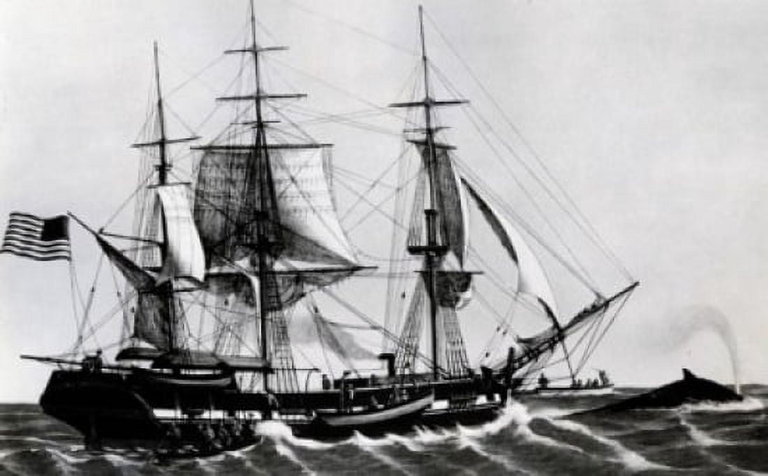 American Whaler by unknown artist lithograph Canvas Art - (18 x 24)