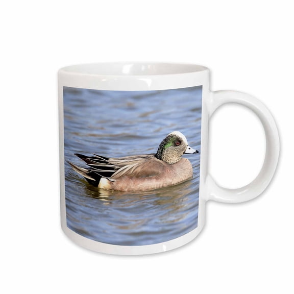 3drose, American Wigeon Anas Americana Bird Duck Photo Animal Photography, 11oz Mug