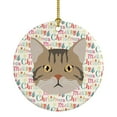 thumbnail image 1 of American Wirehair Cat Christmas Ceramic Ornament 2.8 in x 2.8 in, 1 of 3