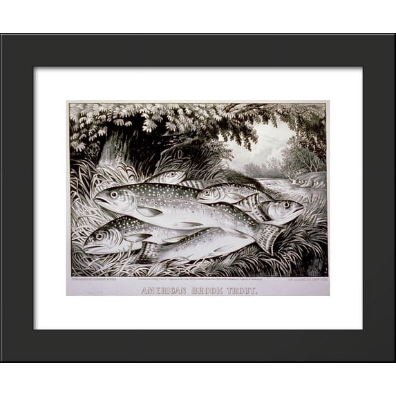 American brook trout 20x24 Framed Art Print by Currier and Ives