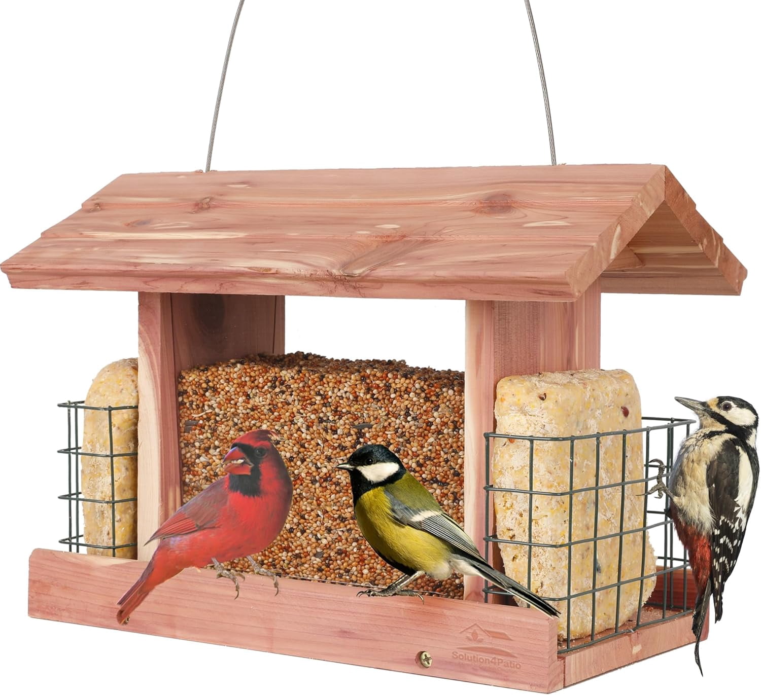 Image showcasing American cedar hopper bird feeder for outdoor hanging, handcrafted ...