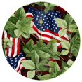 American flag plant 9.8Inch Round Acrylic Wall Clock, Silent Non