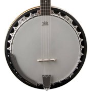 Washburn B9 Americana Series 5 String Banjo. Sunburst
