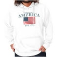 thumbnail image 1 of Americana Classic United States Flag Unisex Plus Fleece Graphic Hoodie Brisco Brands 2X, 1 of 6