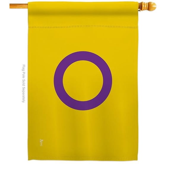 Americana Home & Garden H148010-BO Intersex Support Pride 28 x 40 in. Double-Sided Decorative Horizontal House Flags for Decoration Banner Garden Yard Gift