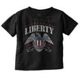 thumbnail image 1 of Americana Liberty USA Flag Patriot Toddler Boy Girl T Shirt Infant Toddler Brisco Brands 6M, 1 of 1