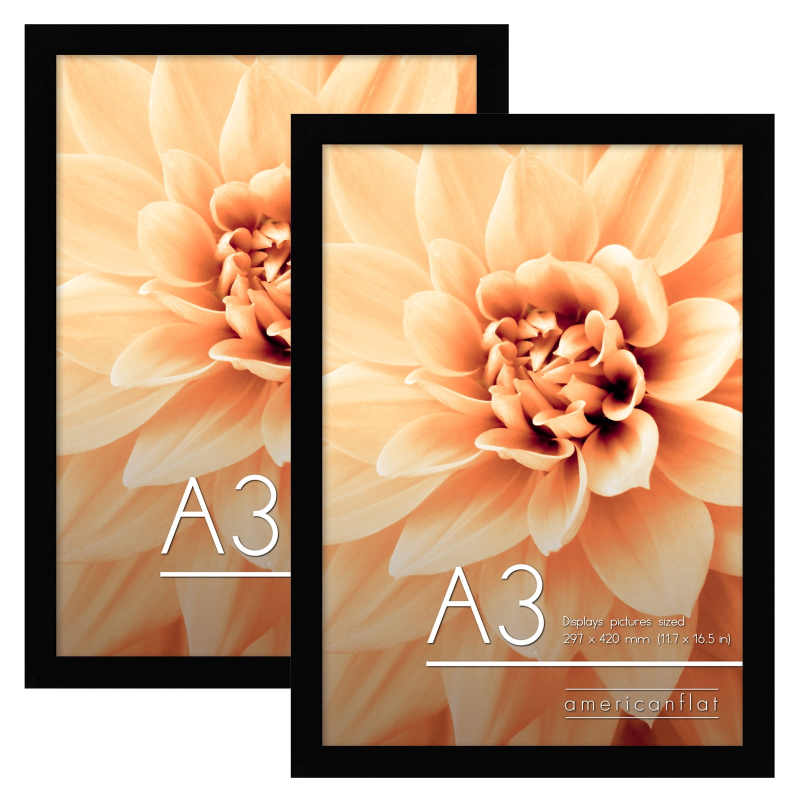 Americanflat 11.7x16.5 Poster Frame with Shatter-Resistant Glass 2 Pack horizontal vertical formats perfect - Black