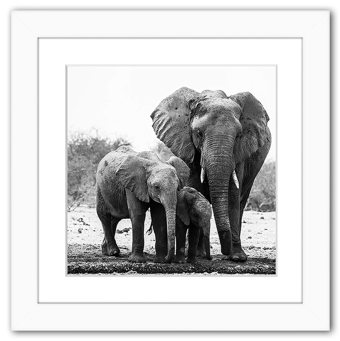 Americanflat 11x11 Picture Frame in White Displays 8x8 With Mat and