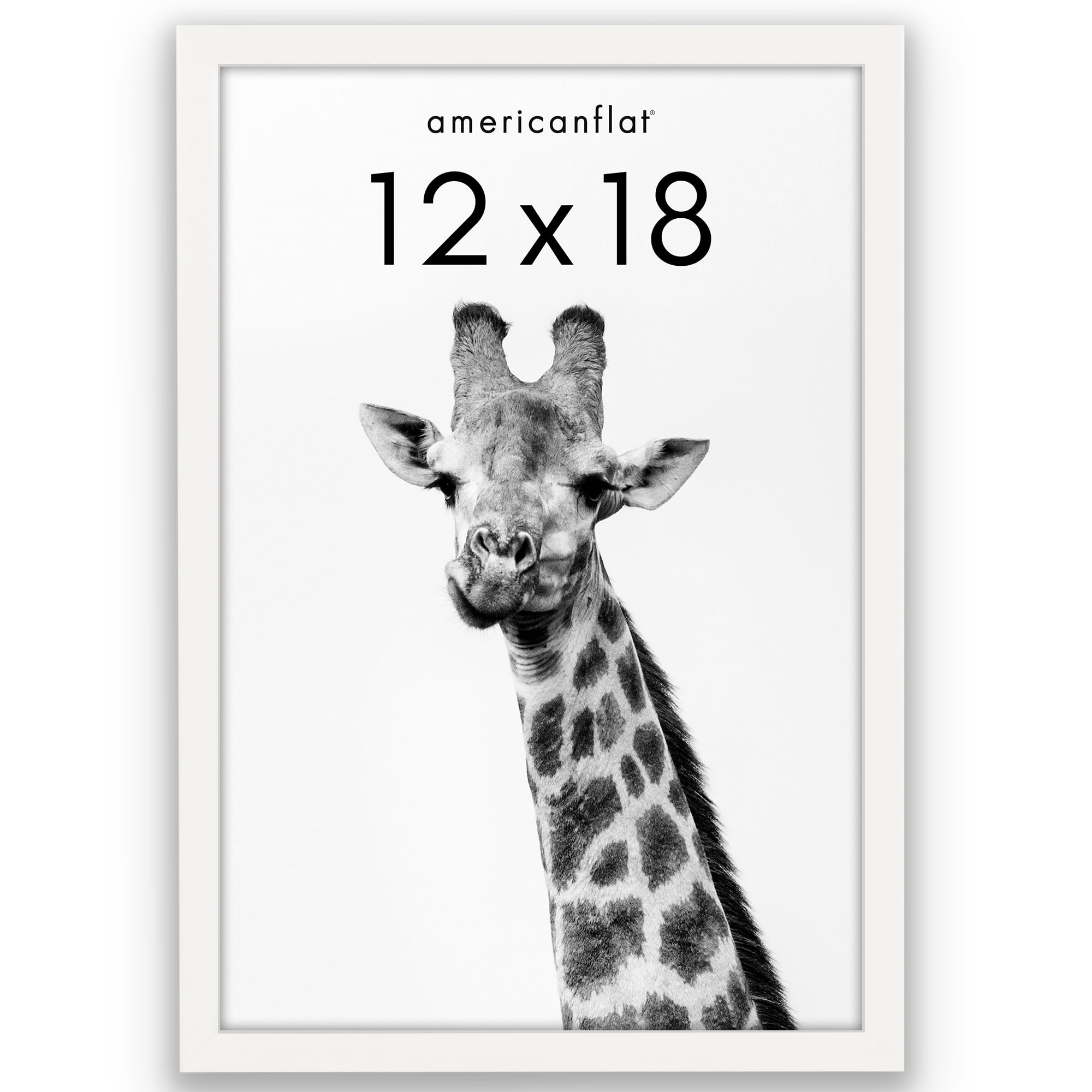 Americanflat 12" x 18" Gallery-Style Picture Frame with Mat to Secure Artwork, Prints, and Photos - White