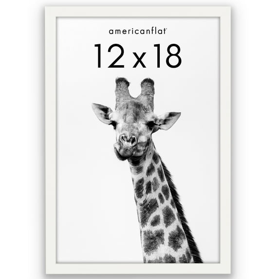 Americanflat 12" x 18" Gallery-Style Picture Frame with Mat to Secure Artwork, Prints, and Photos - White