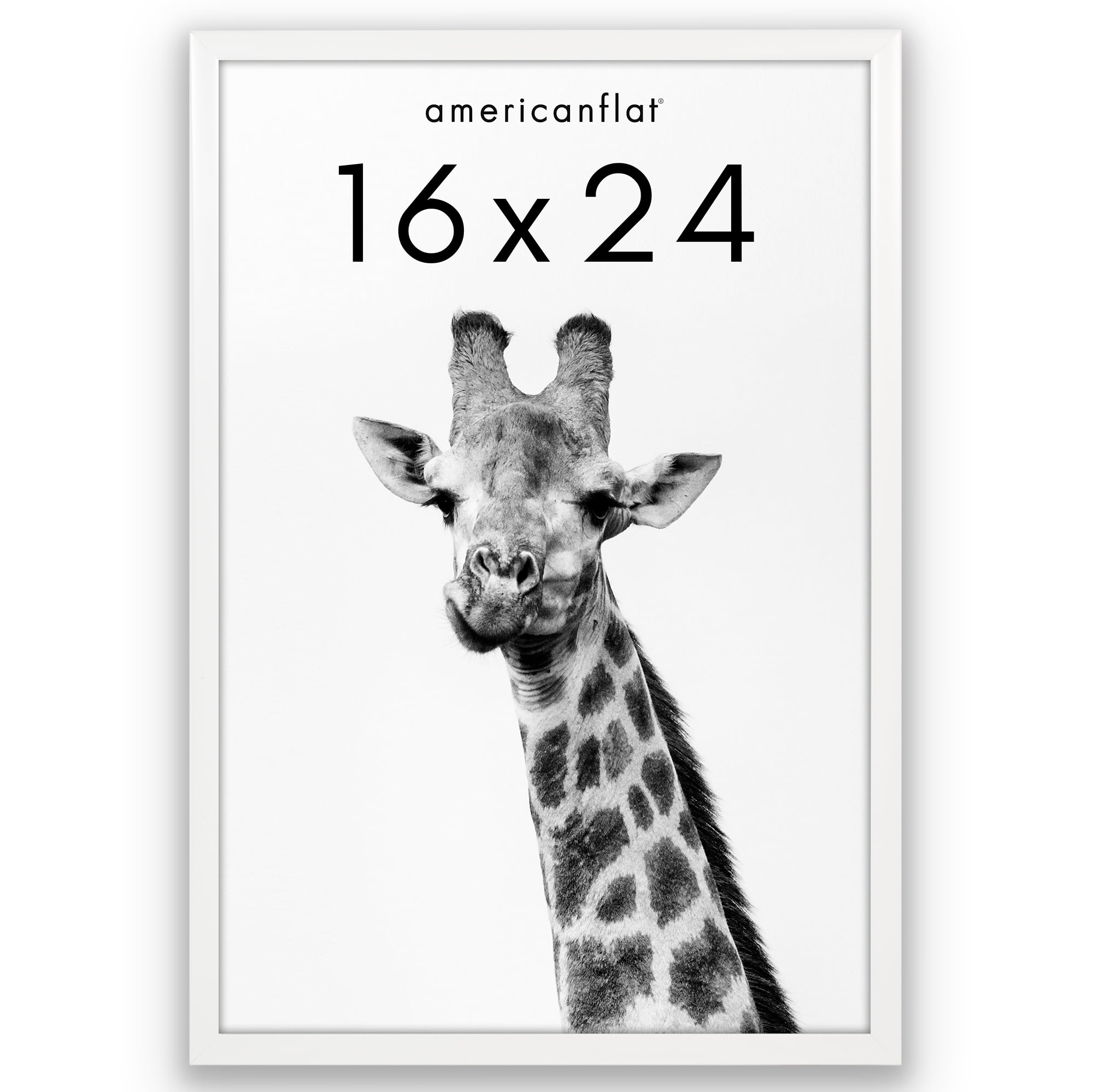 Americanflat 16x24 Poster Frame with Polished Plexiglass Soho Collection Gallery Style Deep Molding - White