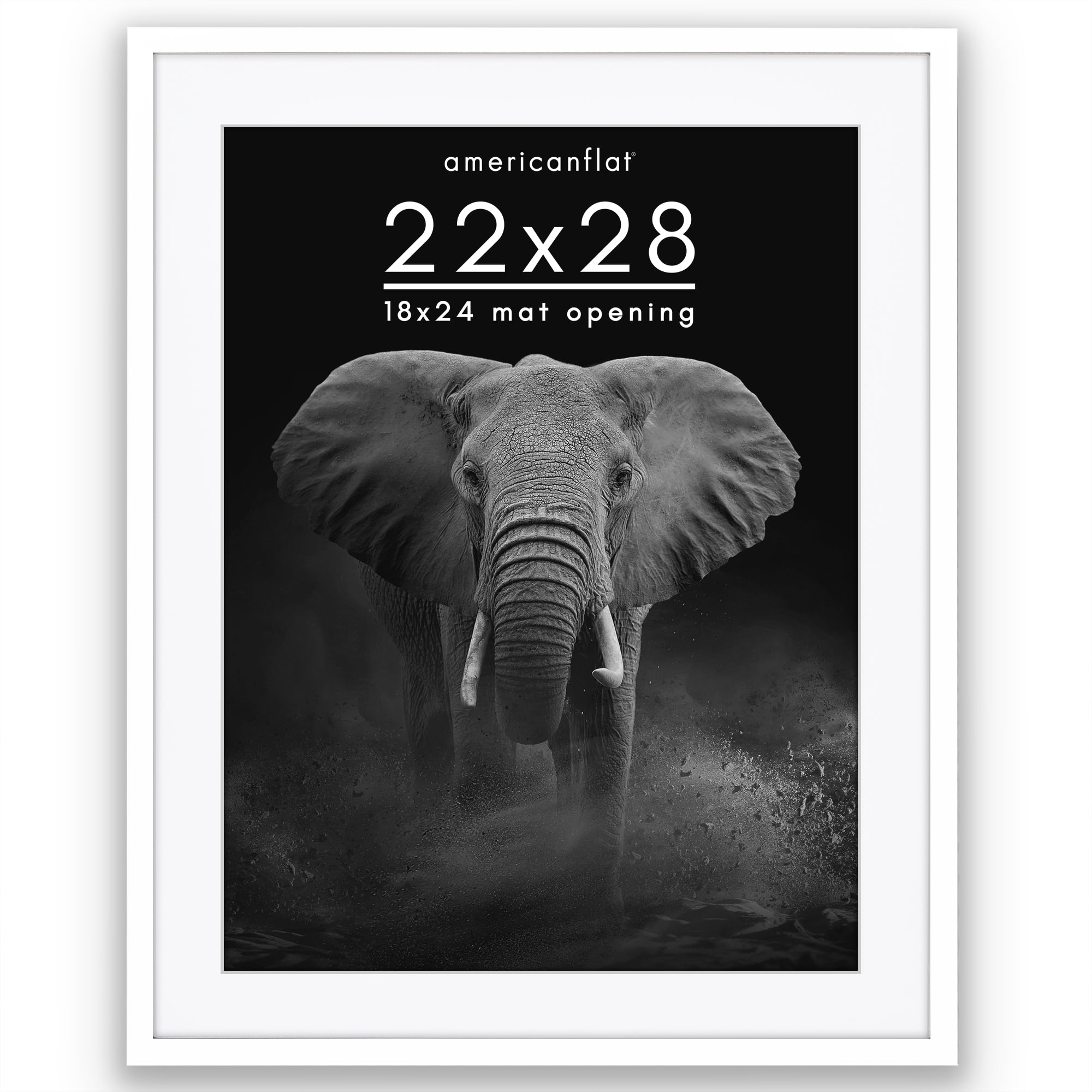 Americanflat 22" x 28" Gallery-Style Picture Frame with Mat to Secure Artwork, Prints, and Photos - White