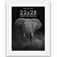 thumbnail image 1 of Americanflat 22" x 28" Gallery-Style Picture Frame with Mat to Secure Artwork, Prints, and Photos - White, 1 of 7