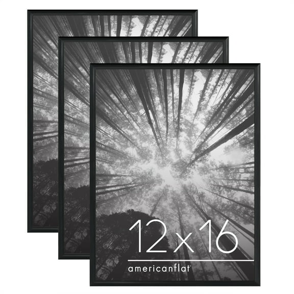 Americanflat 3 Pack Lightweight 12x16 Poster Frames - Black
