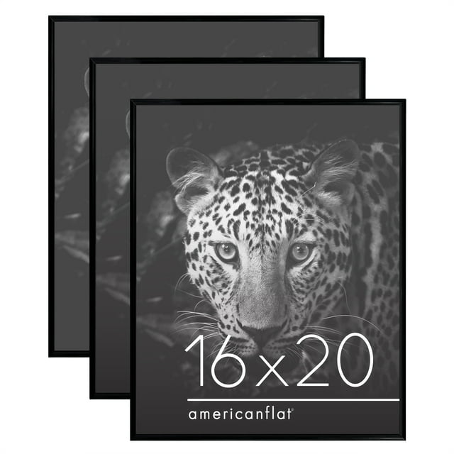 Americanflat 3 Pack Lightweight 16x20 Poster Frames - Black