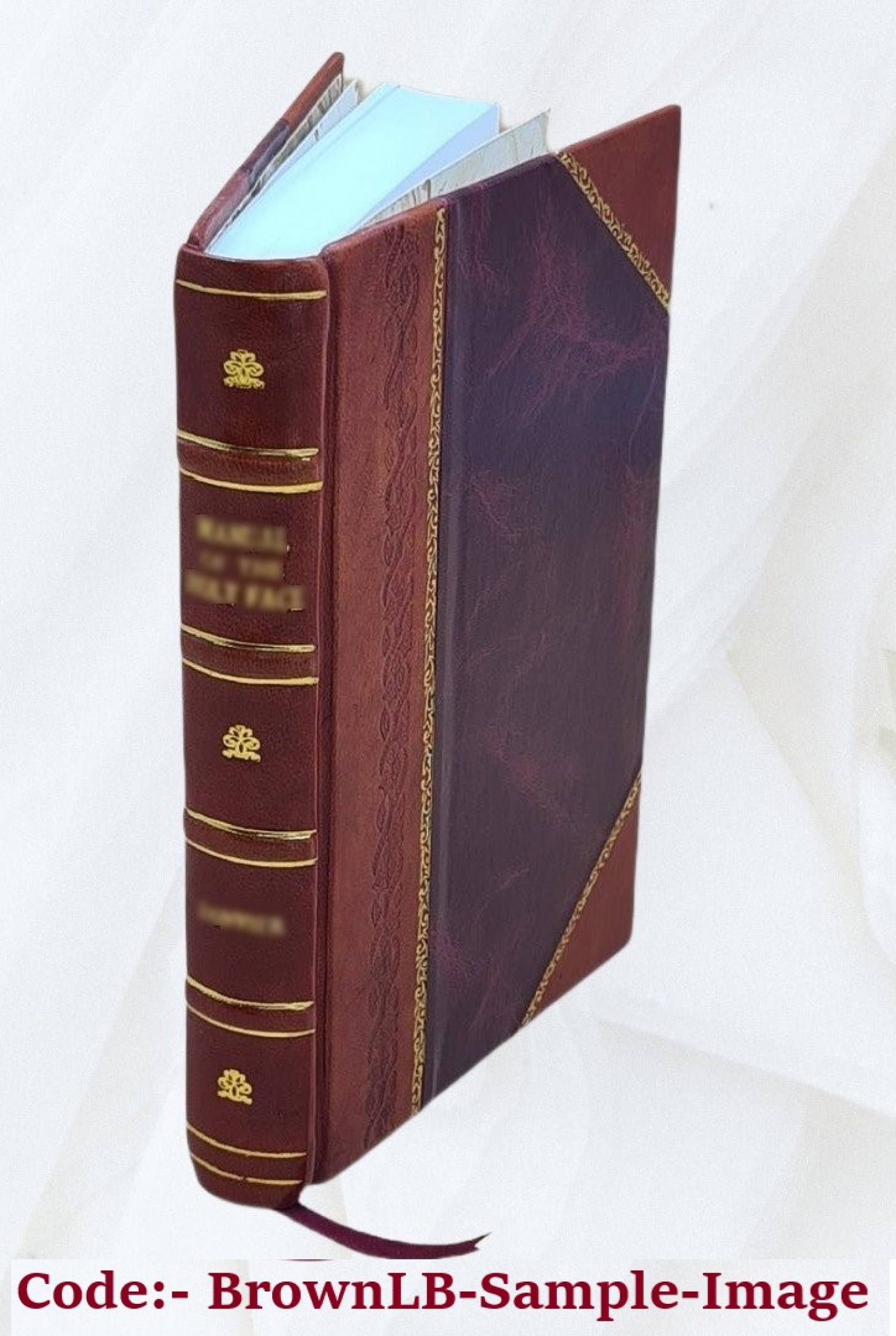 Americanized delsarte culture / by Emily M. Bishop. 1892 [Leather Bound] - image 1 of 5
