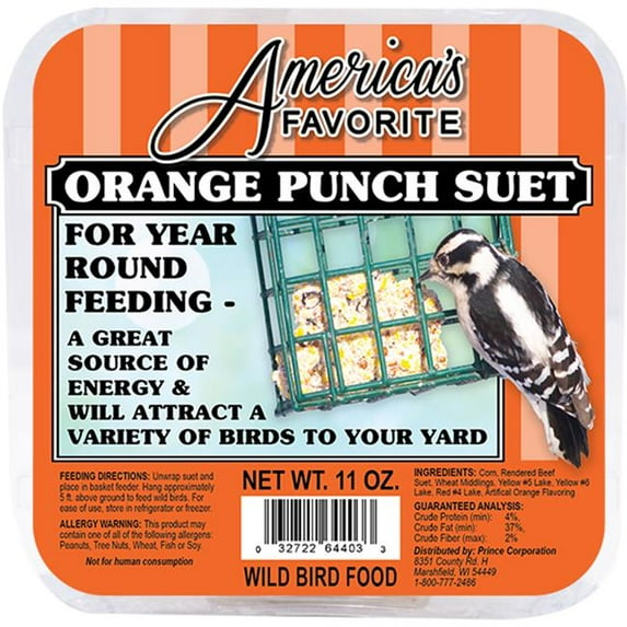 Americas Favorite 11 oz Orange Punch Suet - 2268 Per Pallet - Pack of 12
