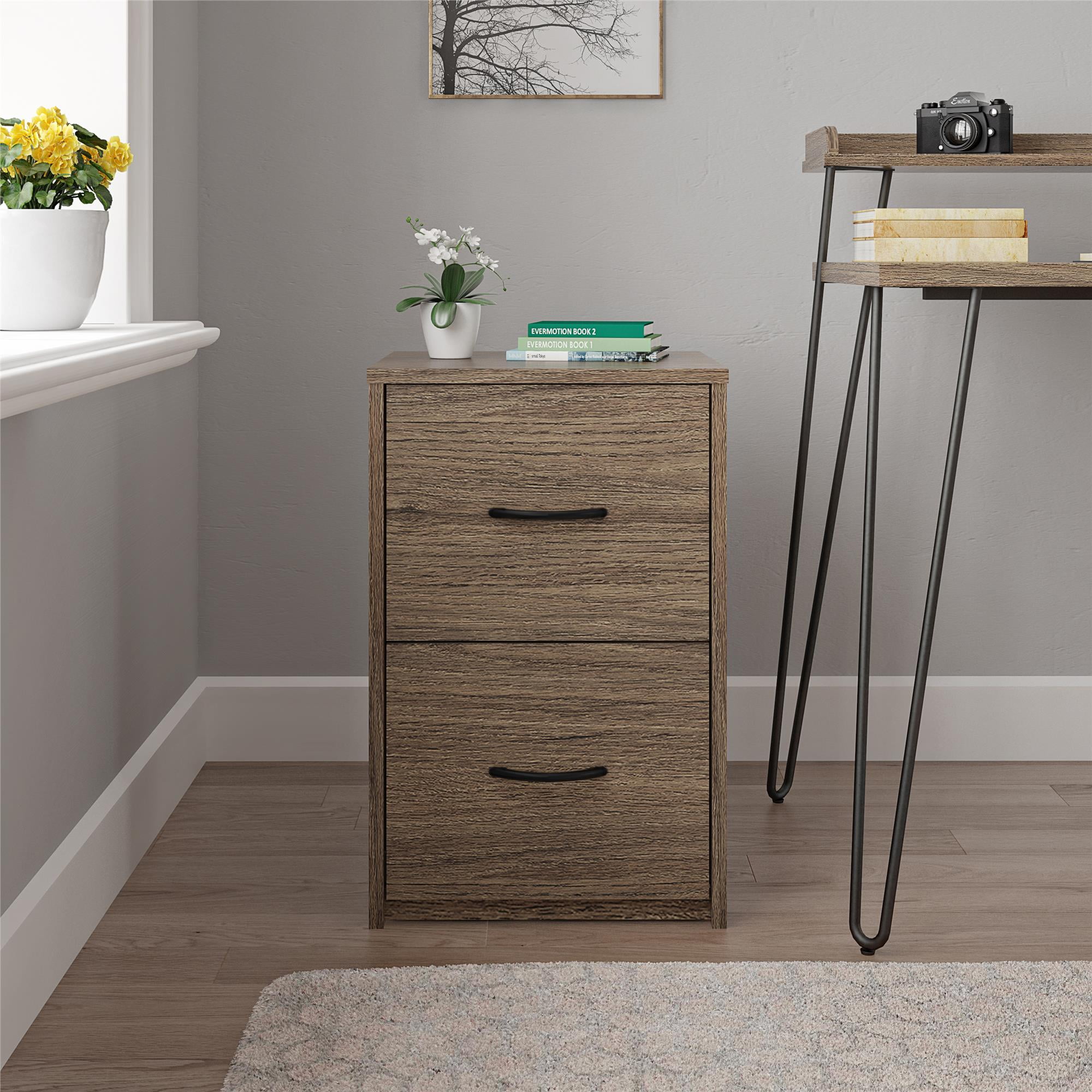 Ameriwood Home Canal 2 Drawer File Rustic Oak