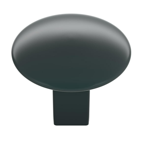 Amerock Bp55362 Riva 1-1/4" Oval Cabinet Knob - Black