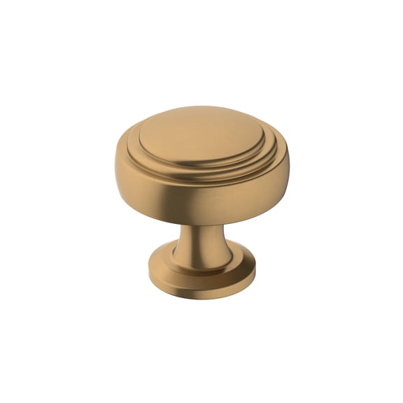 Amerock Winsome 1-1/4 inch (32mm) Diameter Champagne Bronze Cabinet Knob, 2 Pack
