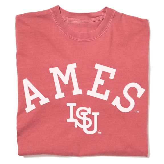 Ames Curved Logo Heavyweight Red Graphic Tee TShirt Gift
