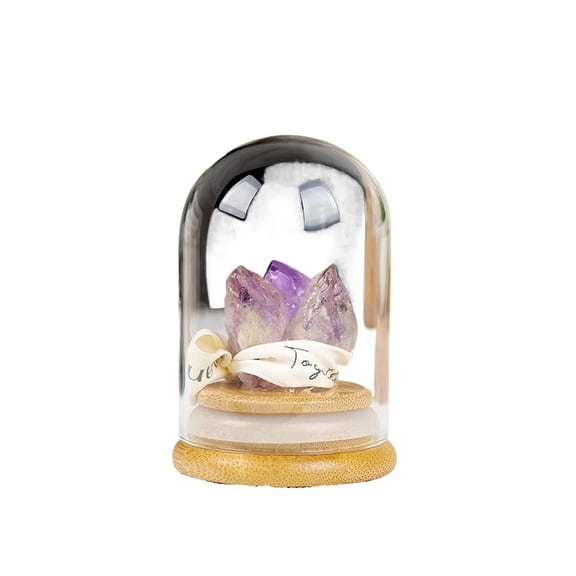 Amethyst Crystal Cluster with Glass Dome, Natural Crystal Cluster Display for Energy Healing and Home Decor