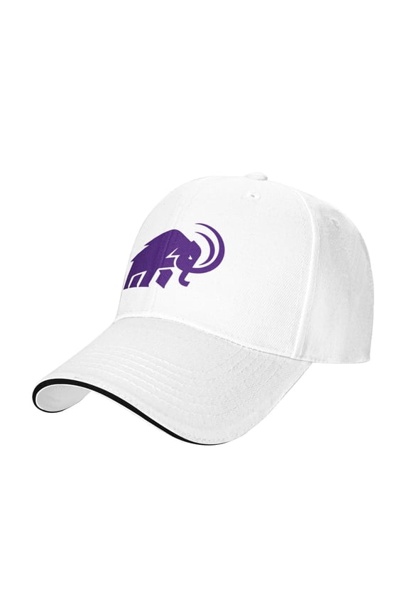 Amherst College Casual Sandwich Baseball Cap Adjustable For Men For Women