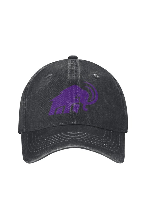 Amherst College Hat Adult Adjustable Classic Washed Casquette Cap Hat Baseball Cap