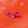 thumbnail image 1 of Ami Dang - The Living World's Demands - Rock - Vinyl, 1 of 1