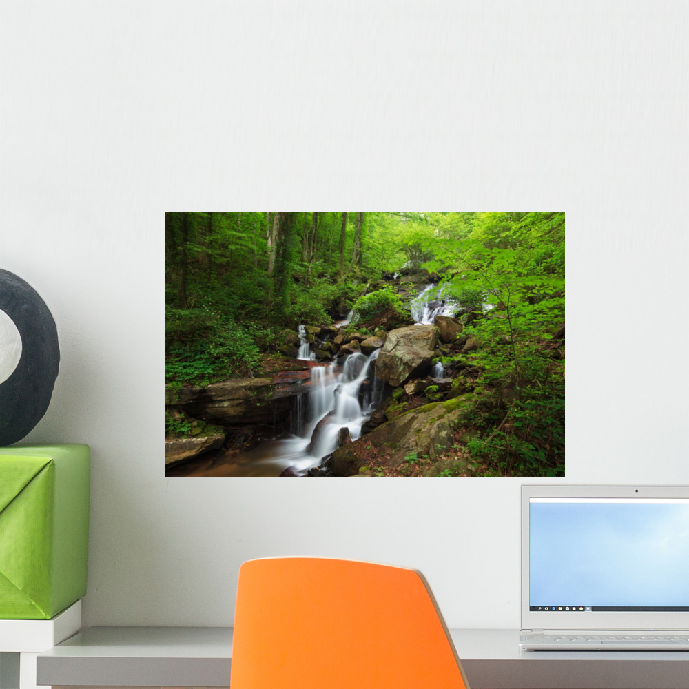 Amicalola Waterfall Wall Mural by Wallmonkeys Peel and Stick Graphic ...