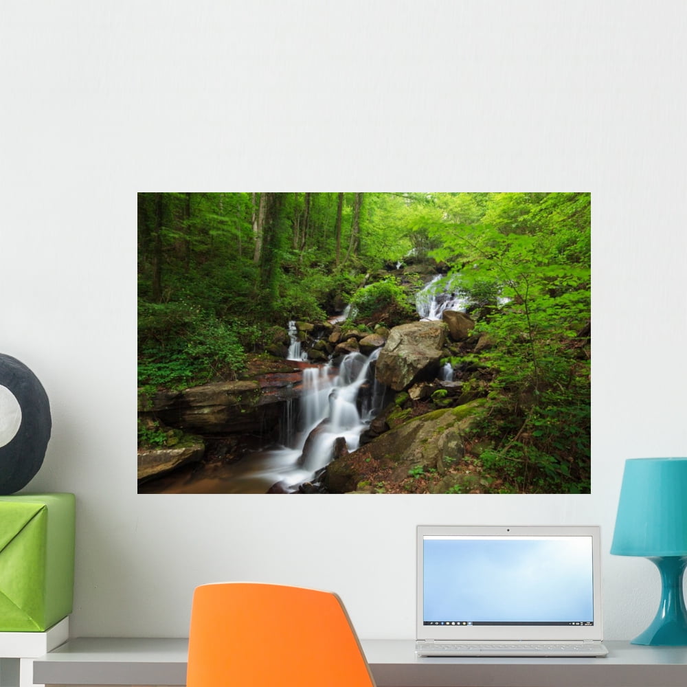 Amicalola Waterfall Wall Mural by Wallmonkeys Peel and Stick Graphic ...