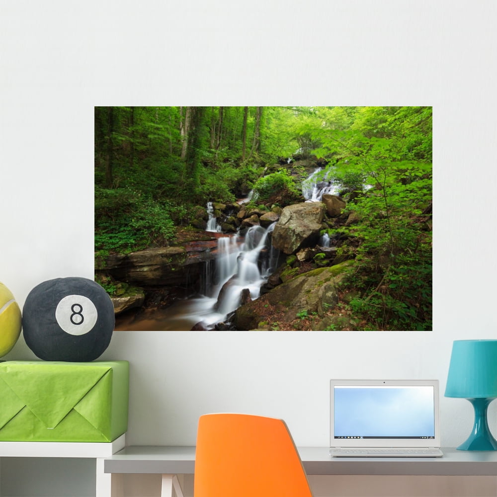 Amicalola Waterfall Wall Mural by Wallmonkeys Peel and Stick Graphic ...